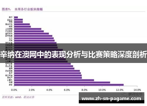 辛纳在澳网中的表现分析与比赛策略深度剖析 辛纳在澳网中的表现分析与比赛策略深度剖析