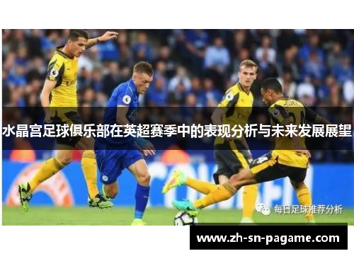 水晶宫足球俱乐部在英超赛季中的表现分析与未来发展展望 水晶宫足球俱乐部在英超赛季中的表现分析与未来发展展望
